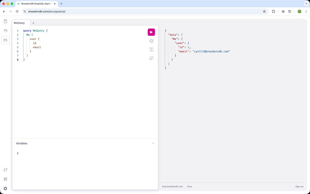GraphQL Explorer Interface