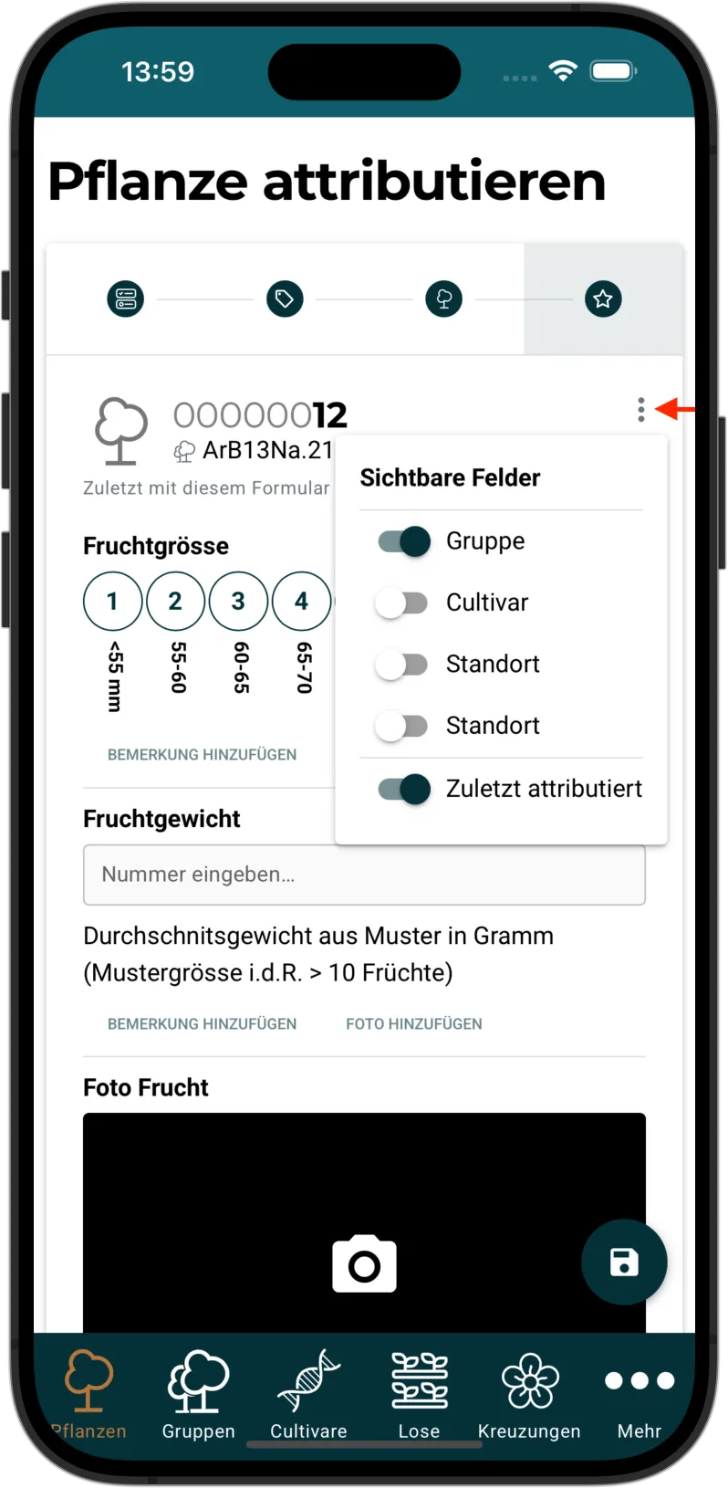 Objektanzeige anpassen