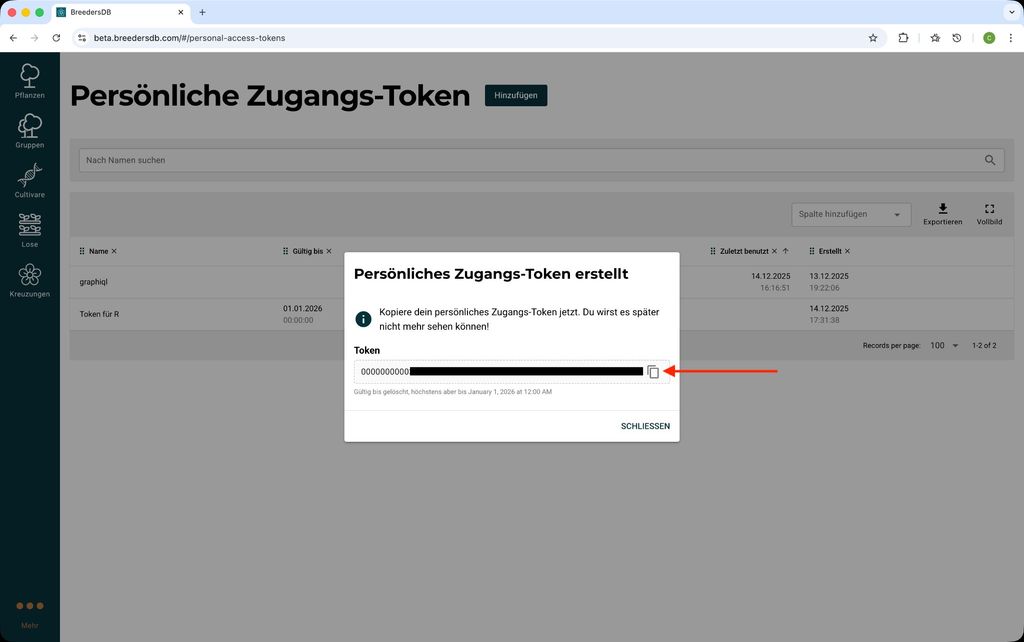 Token wurde erstellt - Kopiere es jetzt!