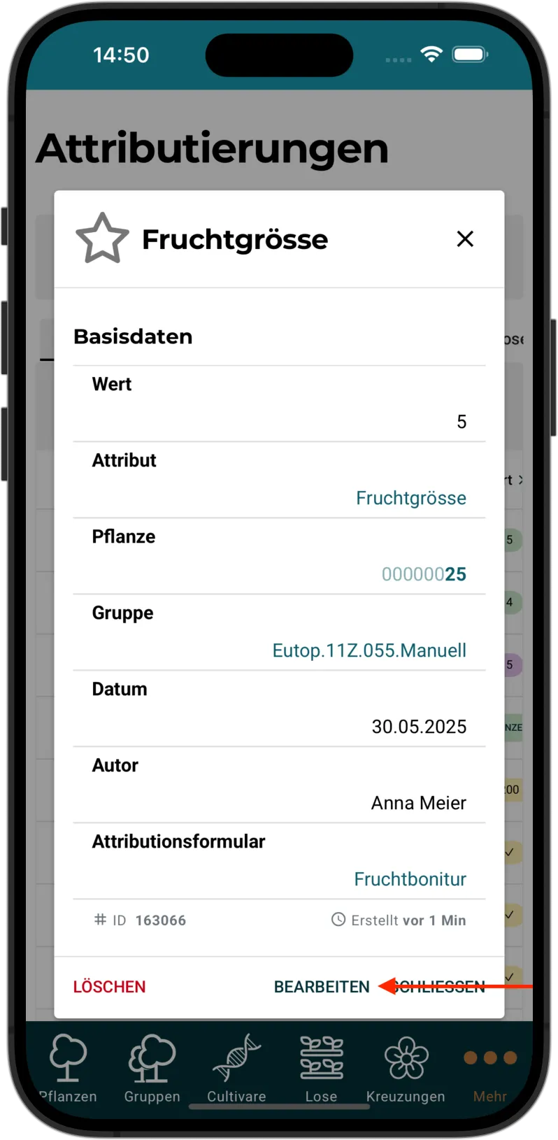 Einzelansicht Attributierung